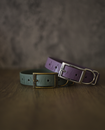Forest Haven - Embossed Explorer Collar