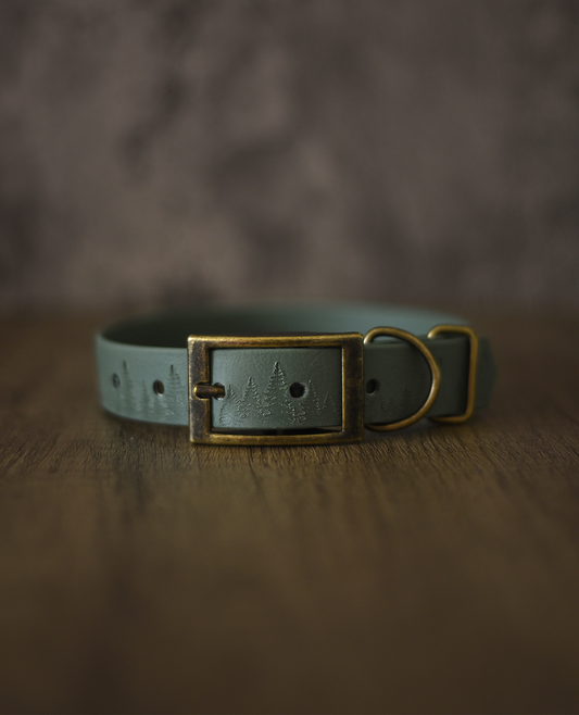 Forest Haven - Embossed Explorer Collar