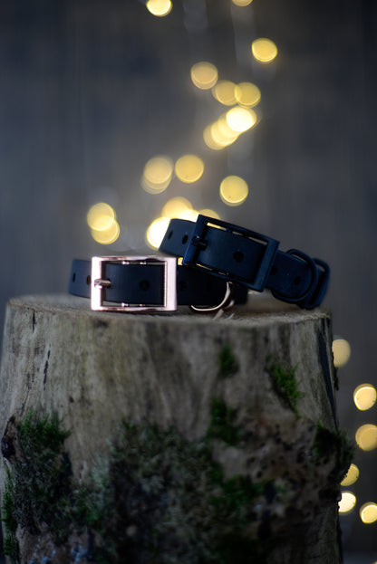 Mystery Pure Explorer Collar