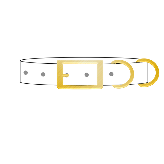 Dog Walking Belts