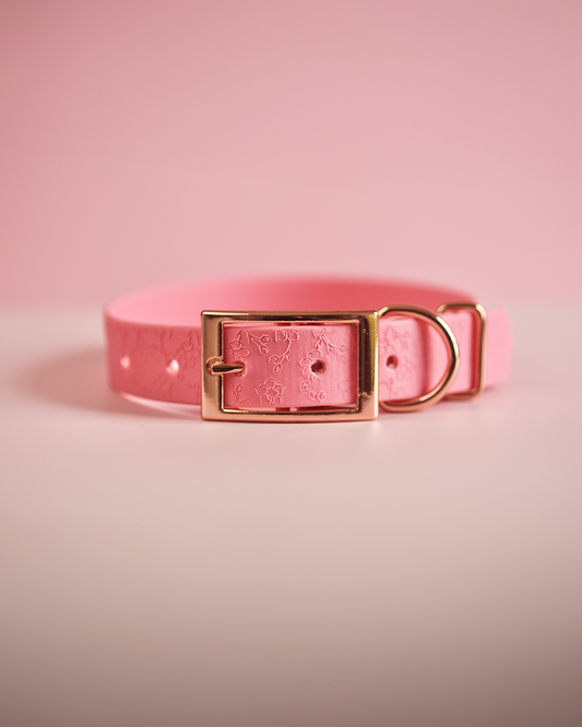 DYO Blossom - Embossed Explorer Collar