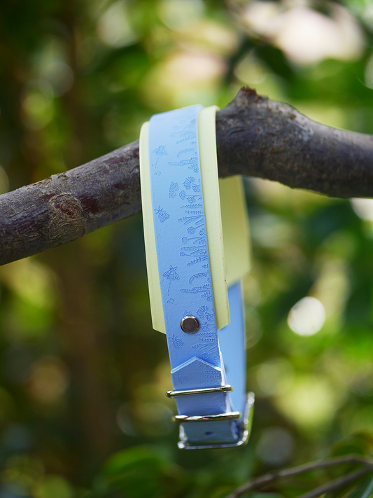 Blue embossed bee and wildflower dog collar hanging on a tree branch outdoors