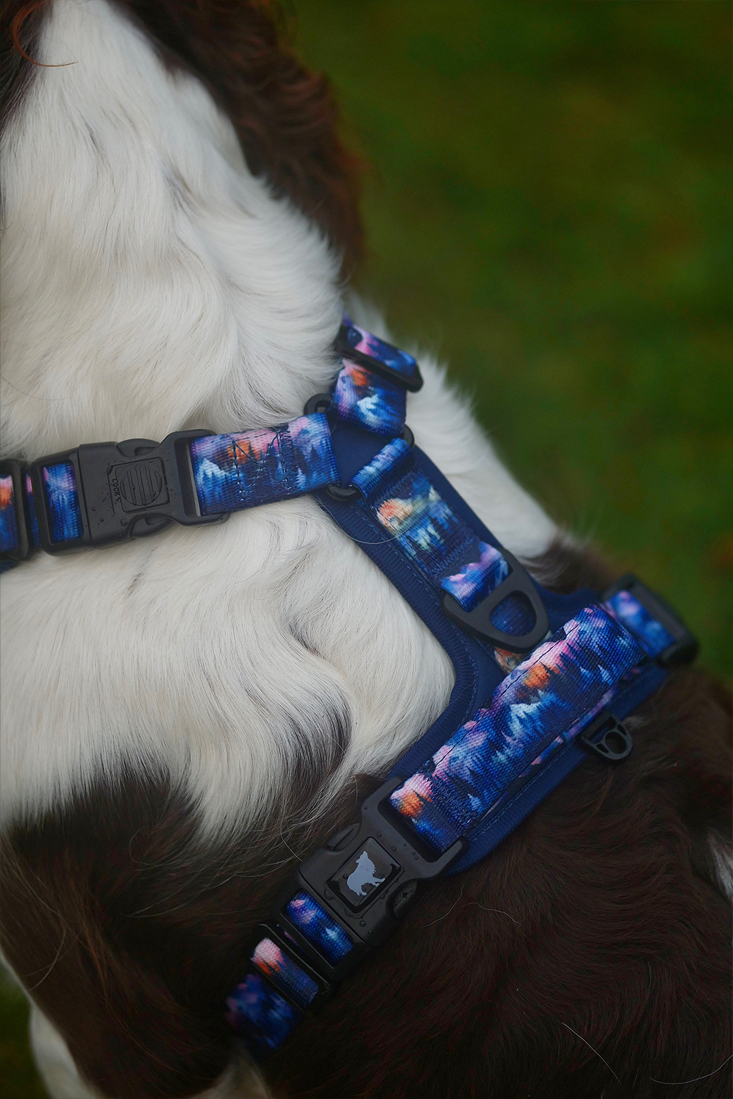 Nightfall Explor-Air Dog Harness (Pre-order)