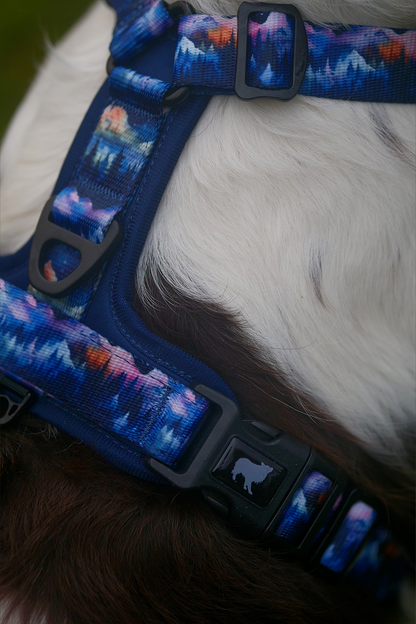 Nightfall Explor-Air Dog Harness (Pre-order)