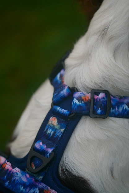 Nightfall Explor-Air Dog Harness (Pre-order)