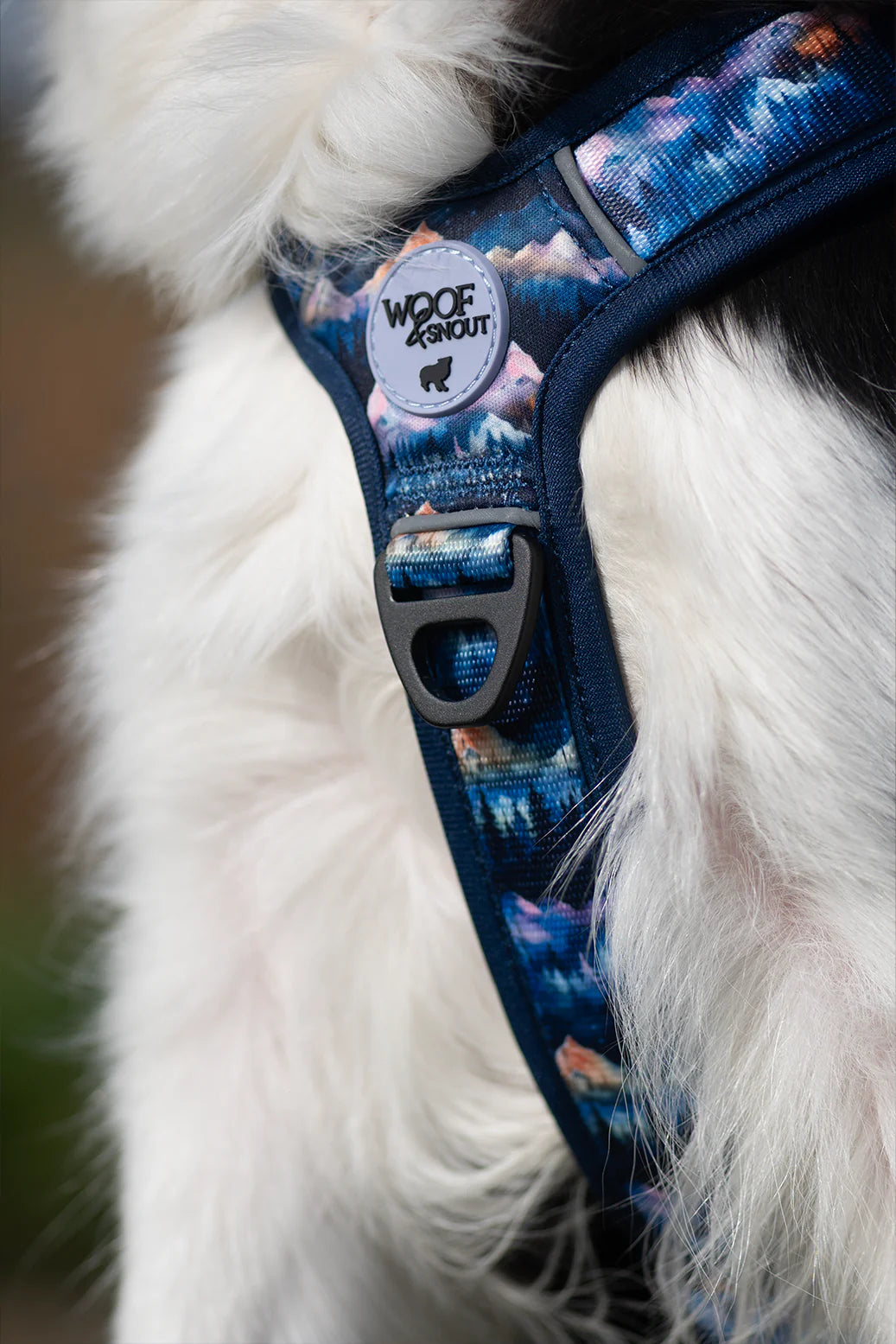Mystery Harness
