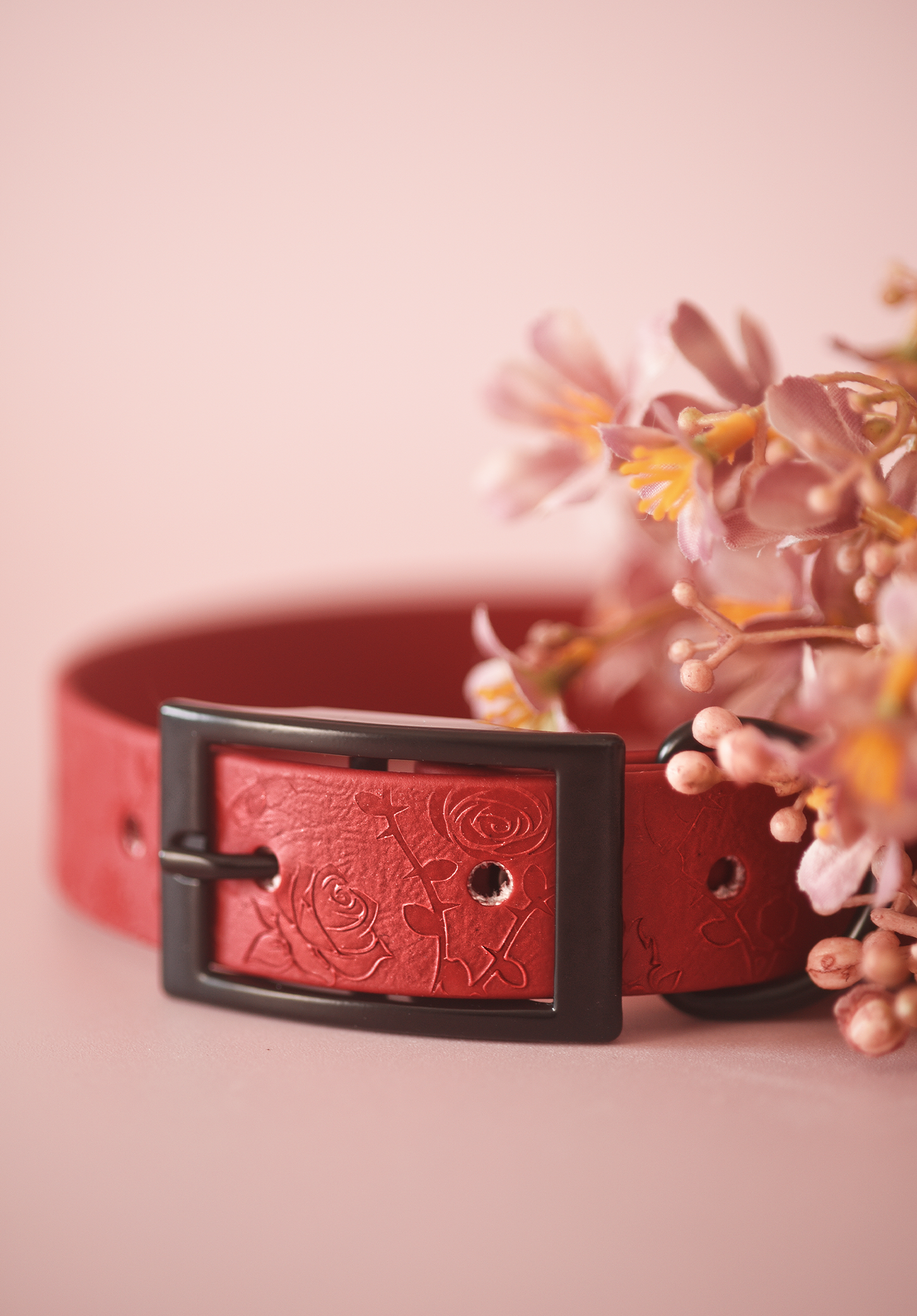 Briar Rose - Embossed Explorer Collar