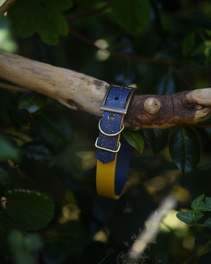 Storybook Sky - S&Sp Dog Collar