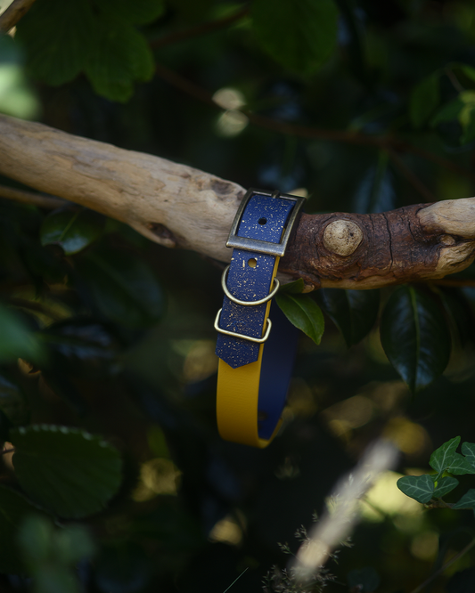 Storybook Sky - S&Sp Dog Collar