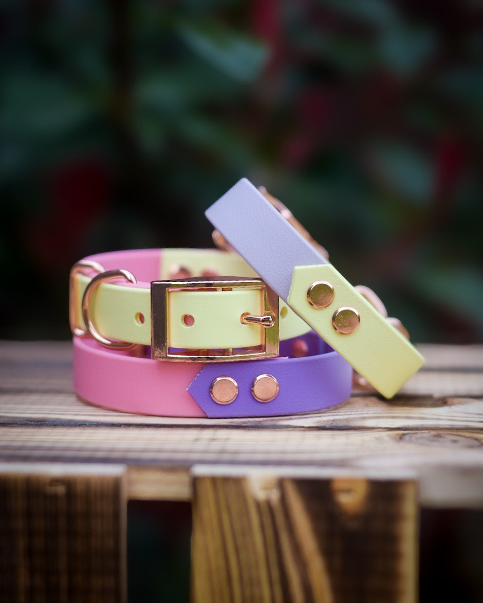 Mystery Arrow Explorer Collar