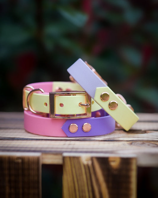 Mystery Arrow Explorer Collar
