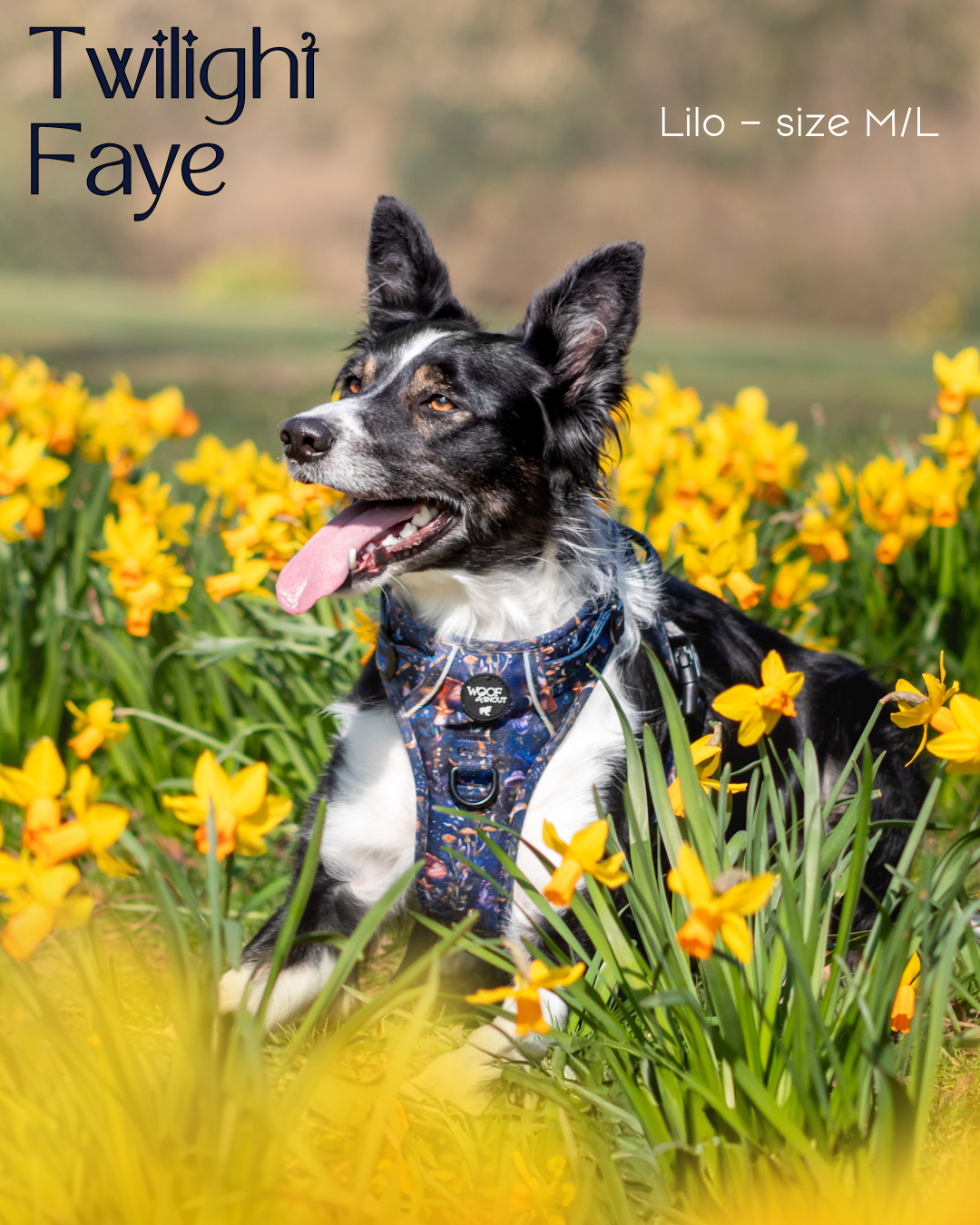 Twilight Faye Explorer-Lite Dog Harness