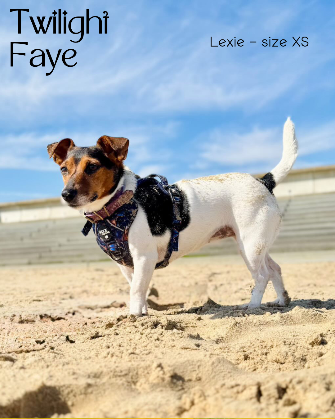 Twilight Faye Explorer-Lite Dog Harness