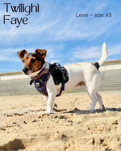 Twilight Faye Explorer-Lite Dog Harness