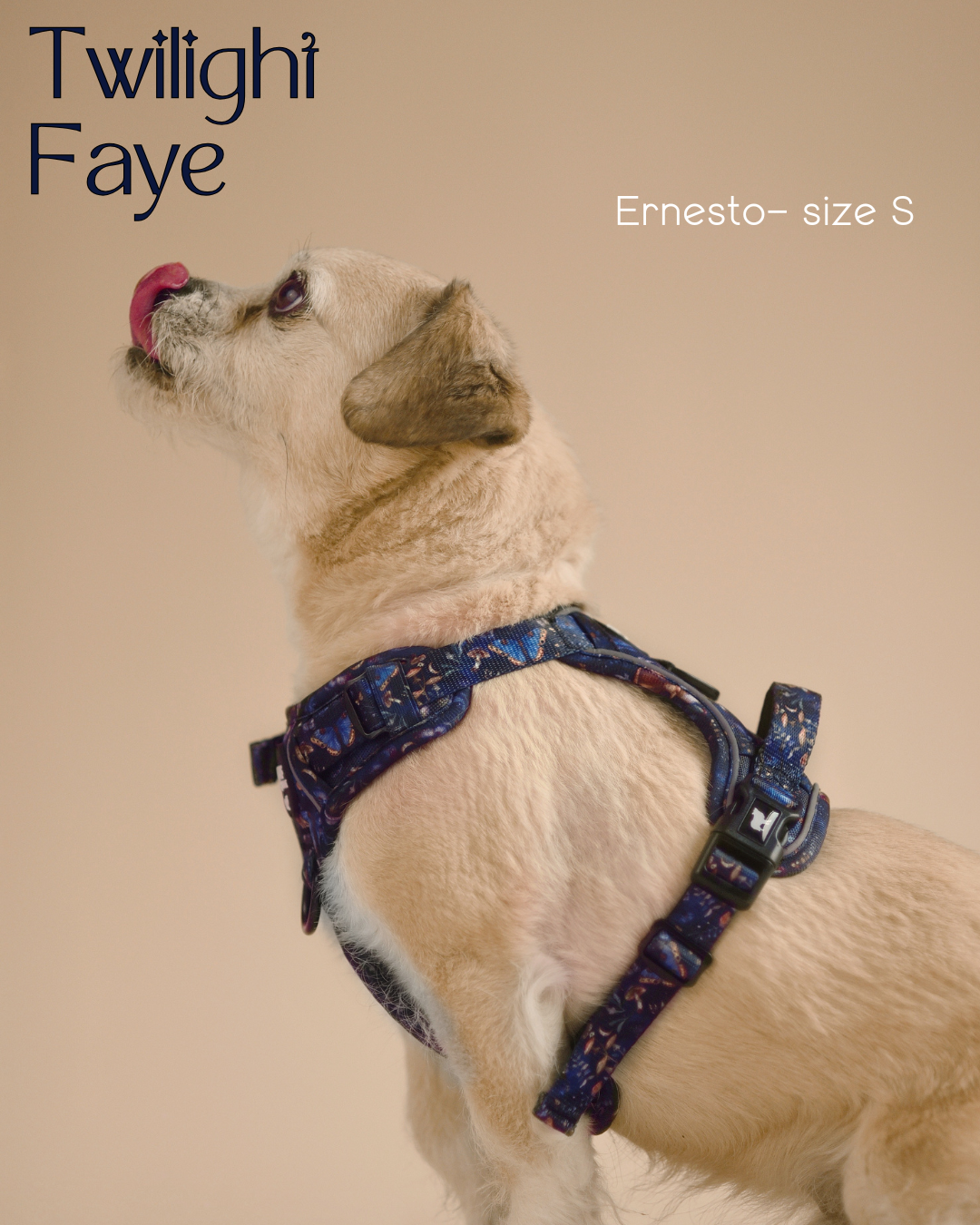 Twilight Faye Explorer-Lite Dog Harness