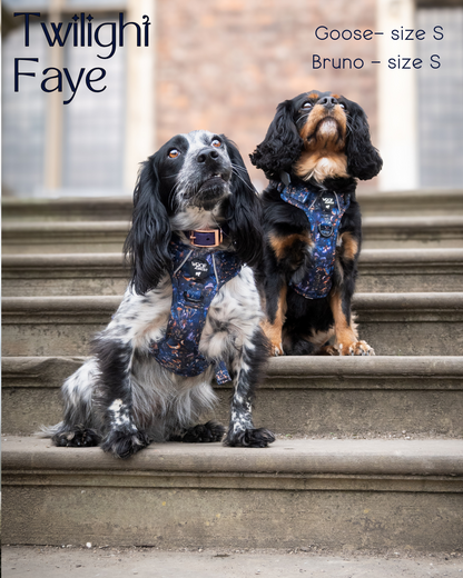 Twilight Faye Explorer-Lite Dog Harness