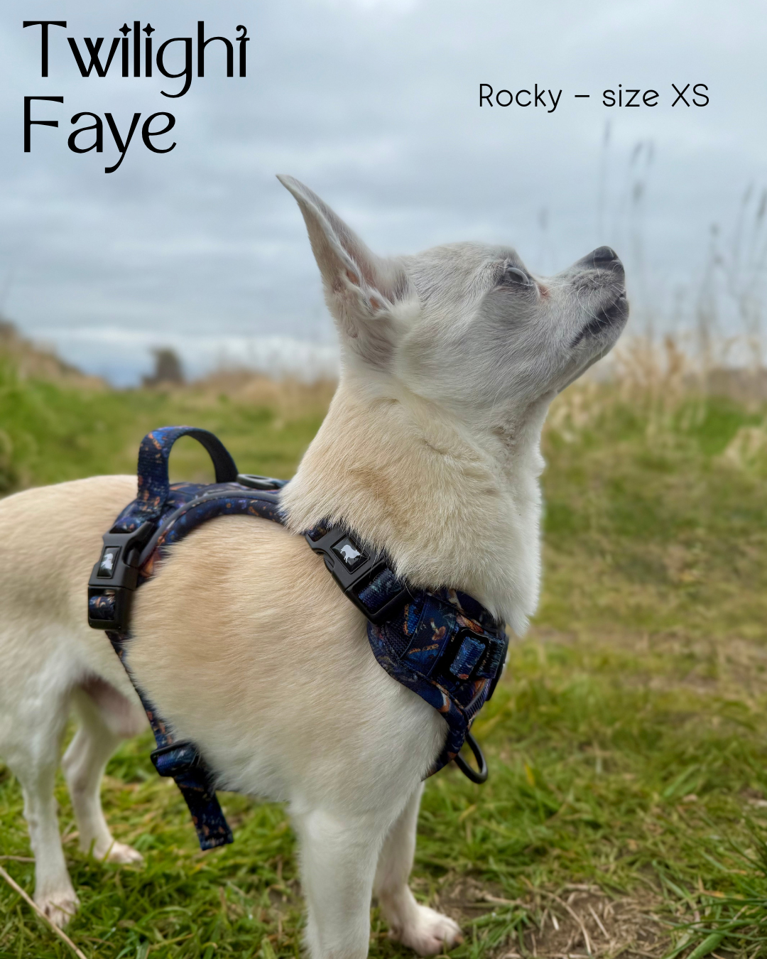 Twilight Faye Explorer-Lite Dog Harness