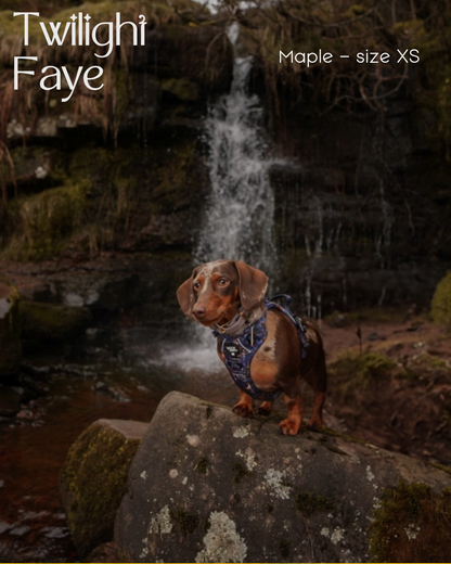 Twilight Faye Explorer-Lite Dog Harness