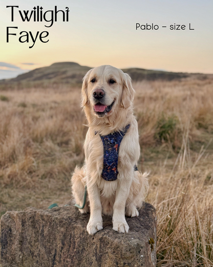 Twilight Faye Explorer-Lite Dog Harness