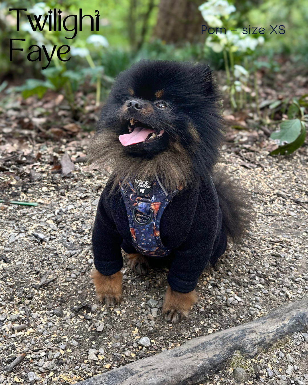 Twilight Faye Explorer-Lite Dog Harness