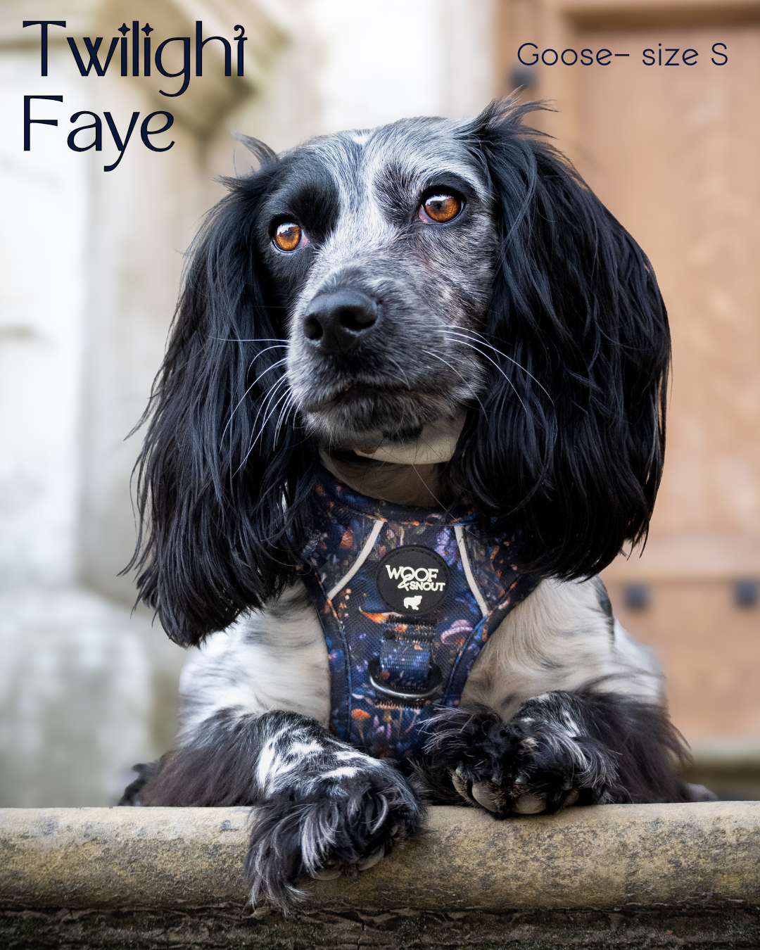 Twilight Faye Explorer-Lite Dog Harness