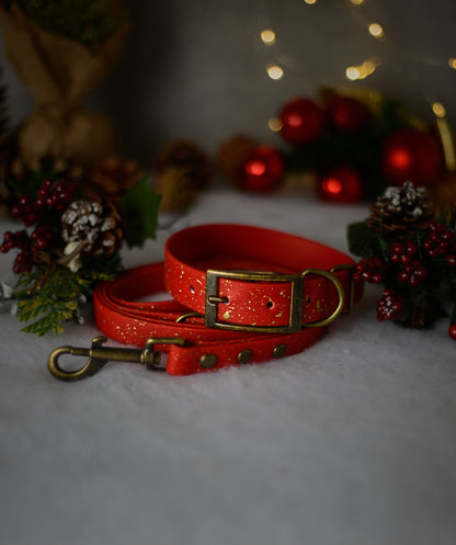 Mystery Speckled Stars Explorer Collar