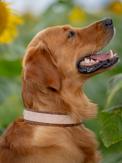 Sunflower Meadow - Embossed Hound Collar