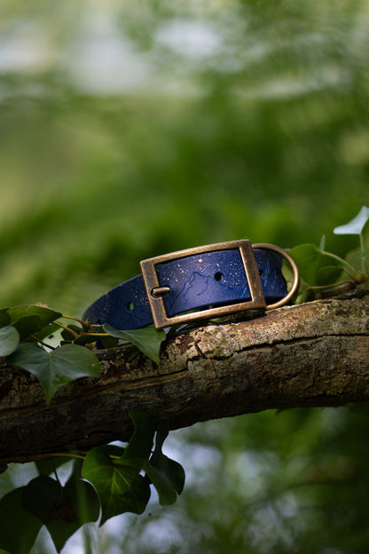 Starlit Mountains - Name Embossed Explorer Collar