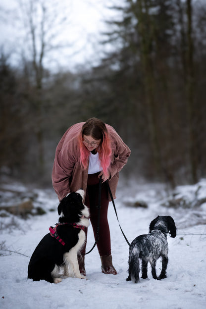 Handsfree Multiway Dog Lead