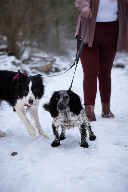 Handsfree Multiway Dog Lead