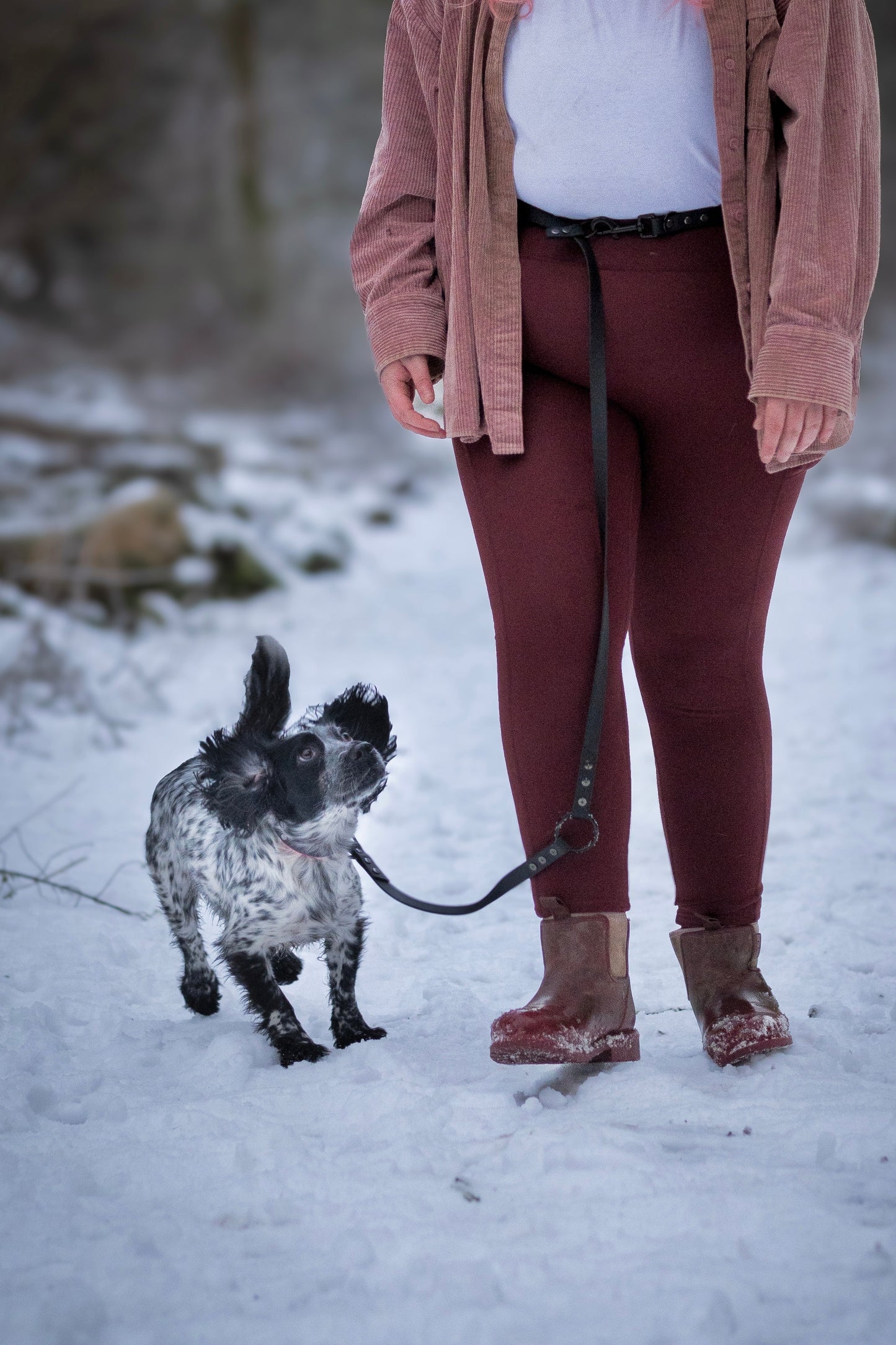 Handsfree Multiway Dog Lead