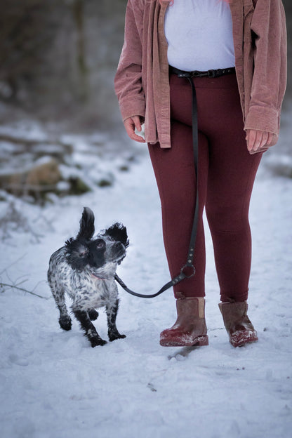 Handsfree Multiway Dog Lead