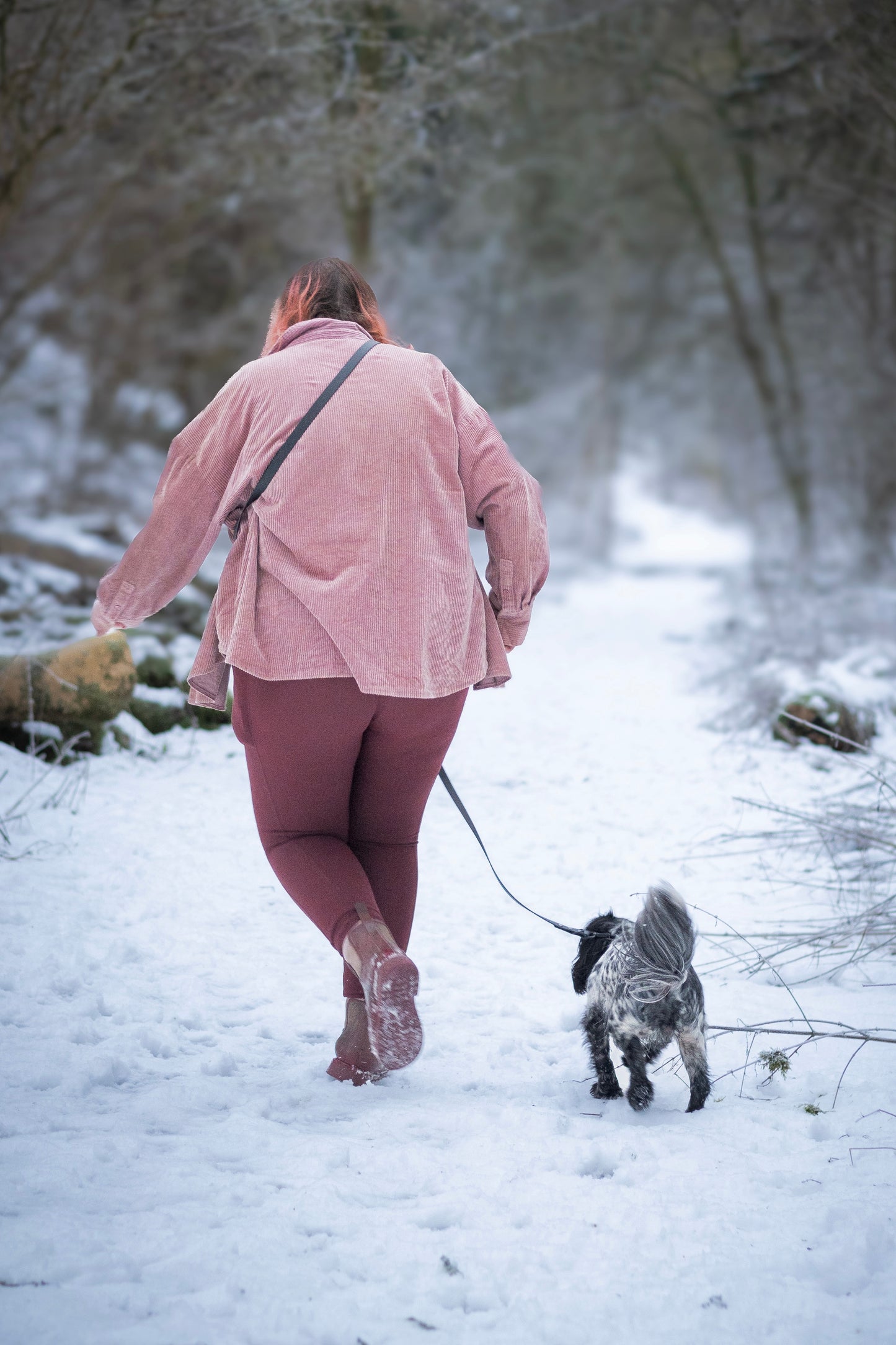 Handsfree Multiway Dog Lead