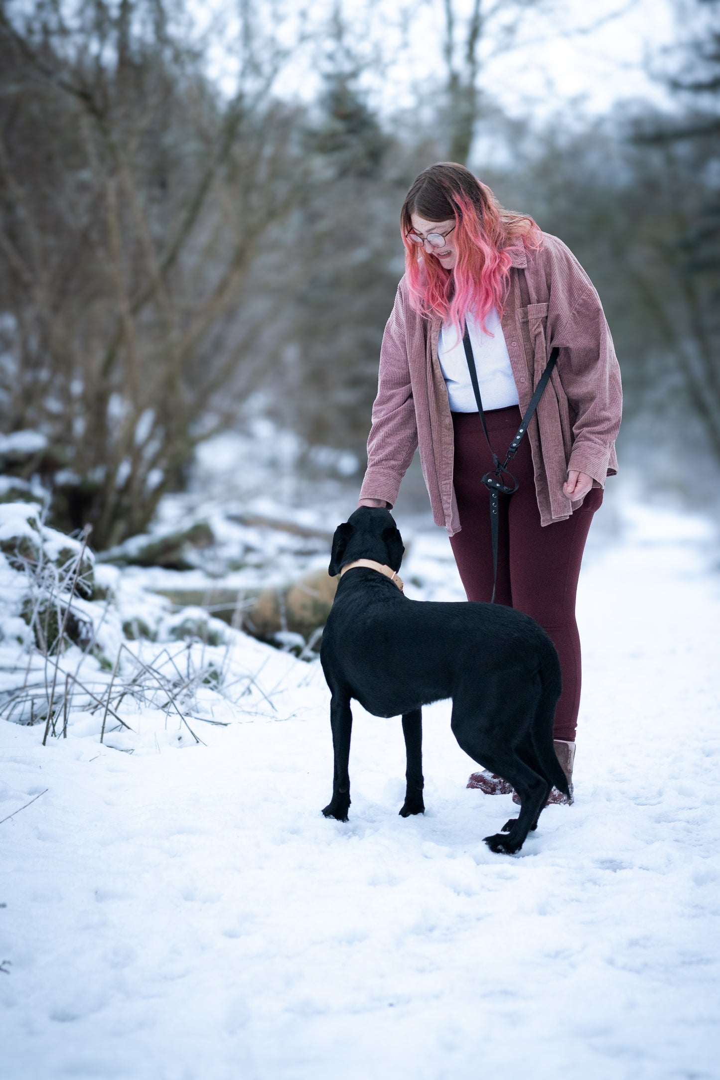 Handsfree Multiway Dog Lead