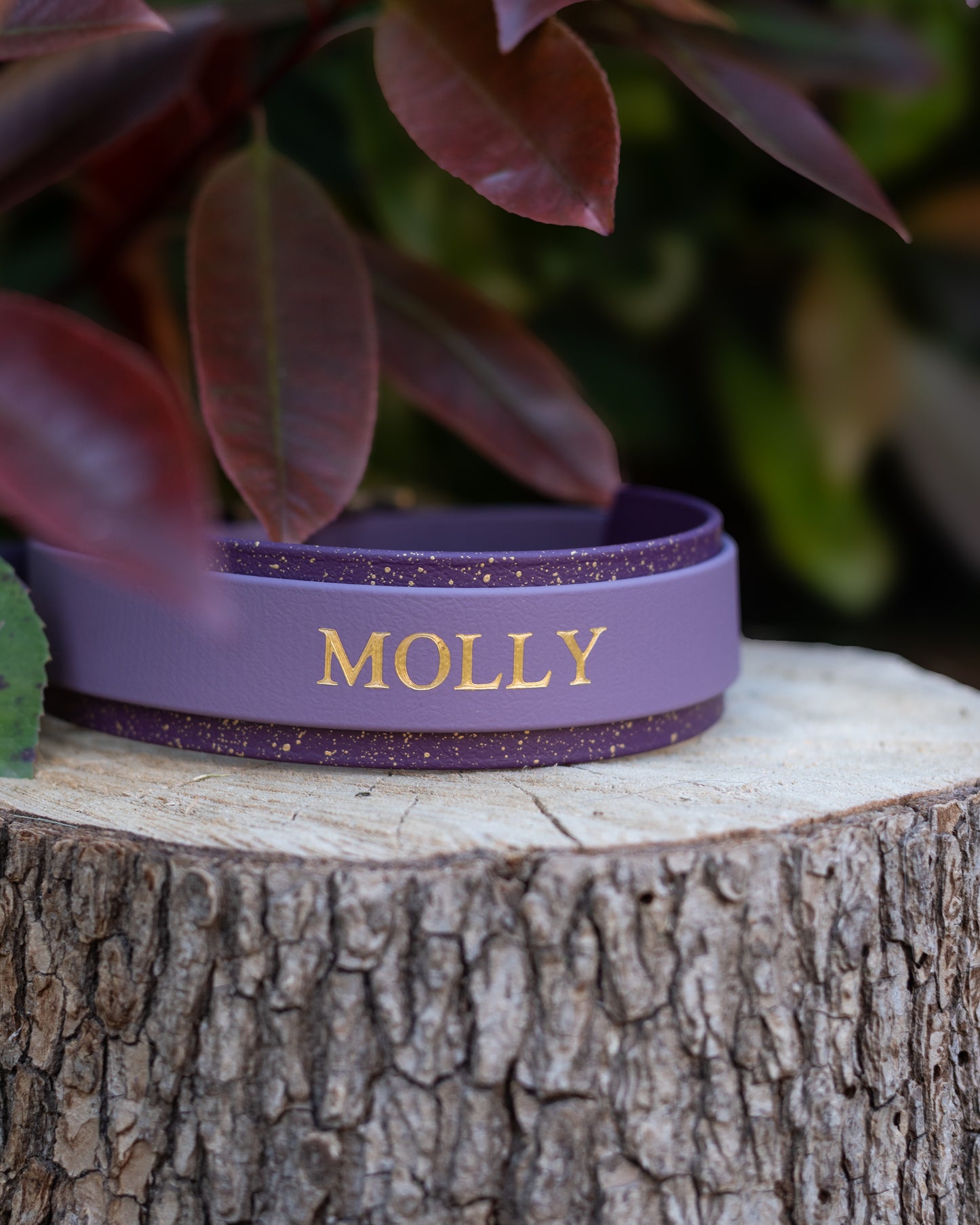 The Molly
