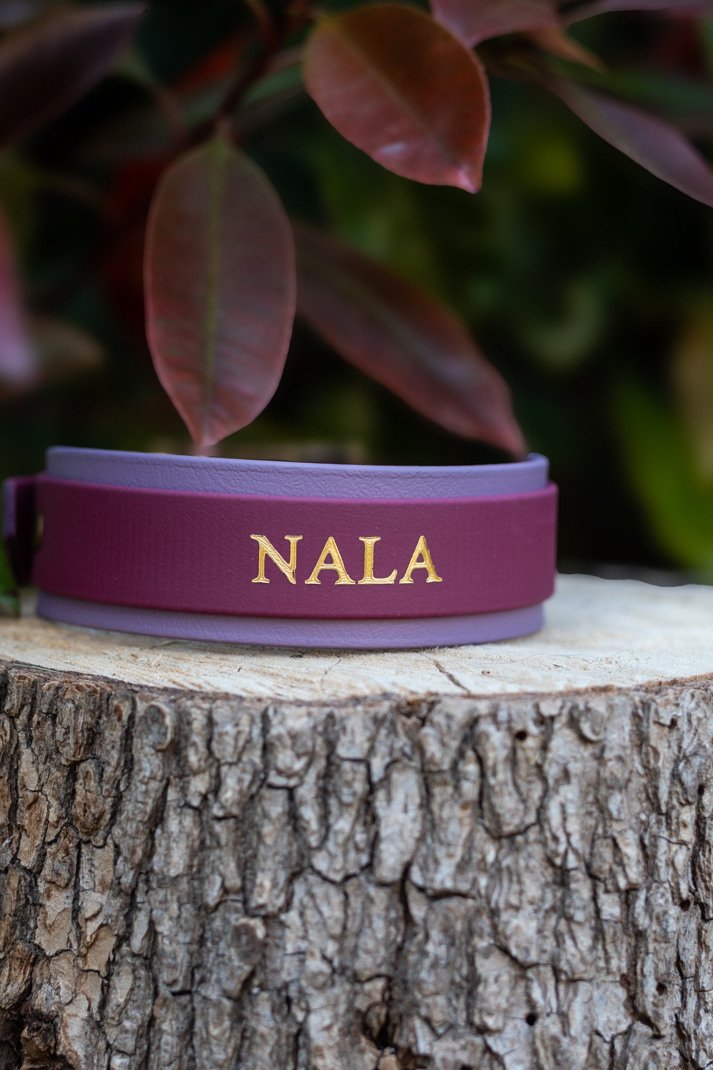The Nala