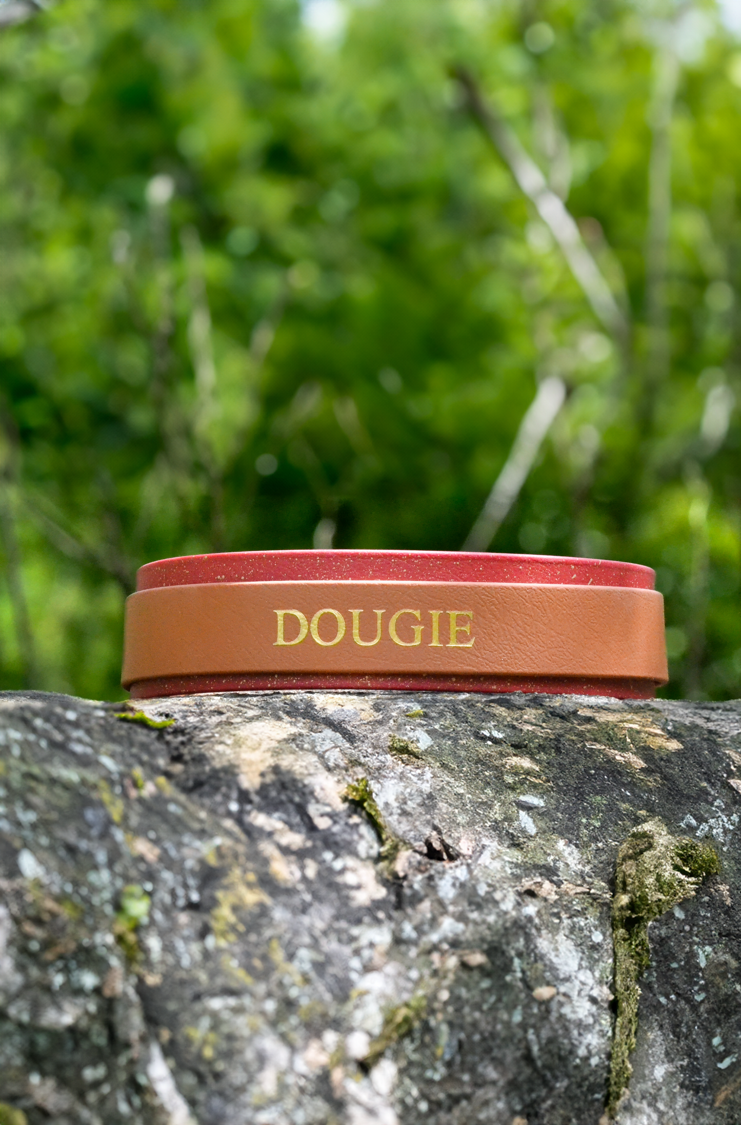 The Dougie