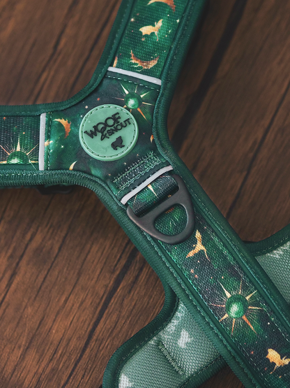 Celestial Vale Explor-Air Dog Harness (Pre-Order)