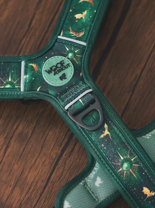 Celestial Vale Explor-Air Dog Harness (Pre-Order)