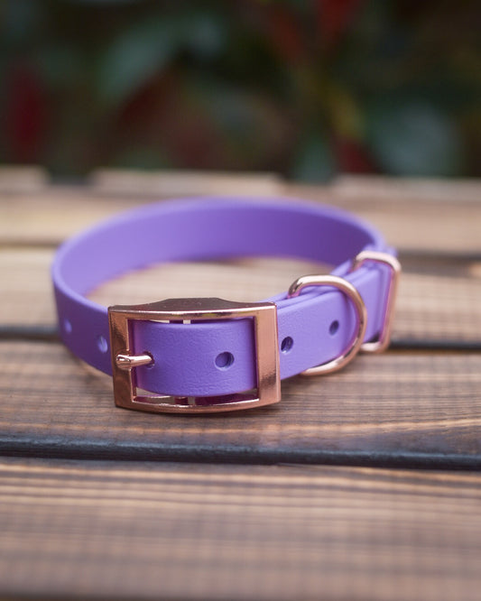Handmade Custom Biothane Dog Collar in Amethyst (Purple)