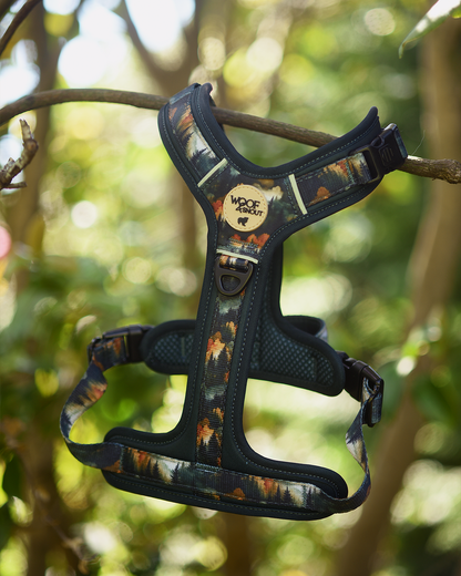 Ember Moors Explor-Air Dog Harness