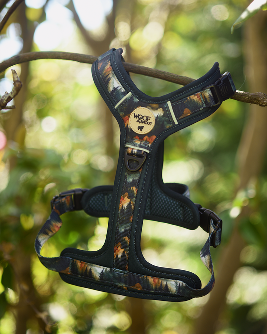 Ember Moors Explor-Air Dog Harness (PREORDER)