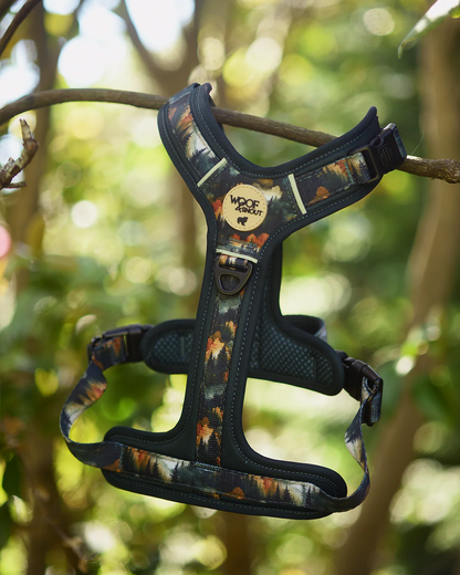Mystery Harness