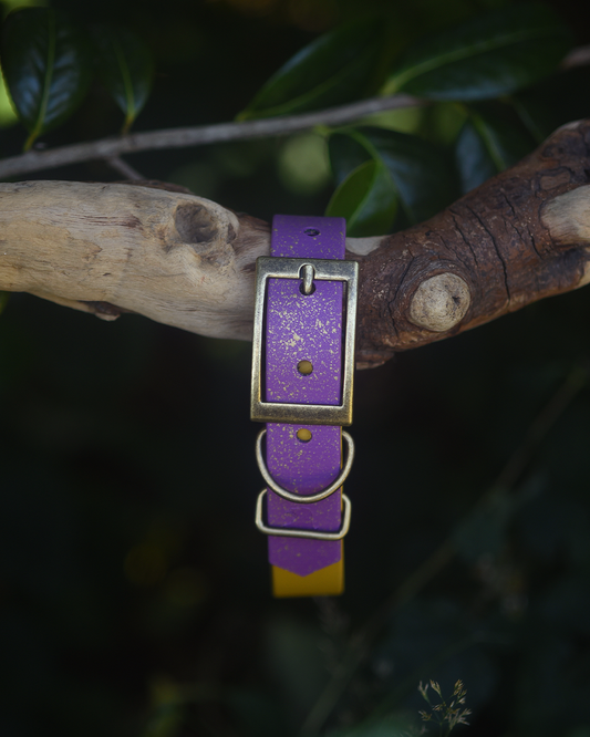 Fables of Fig - S&Sp Dog Collar