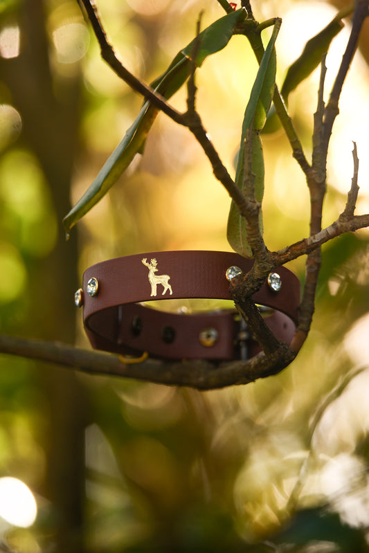 Noble - Foil Embossed Explorer Collar