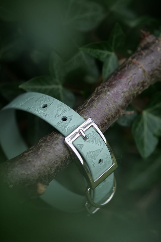 EverFern V2 - Embossed Explorer Collar