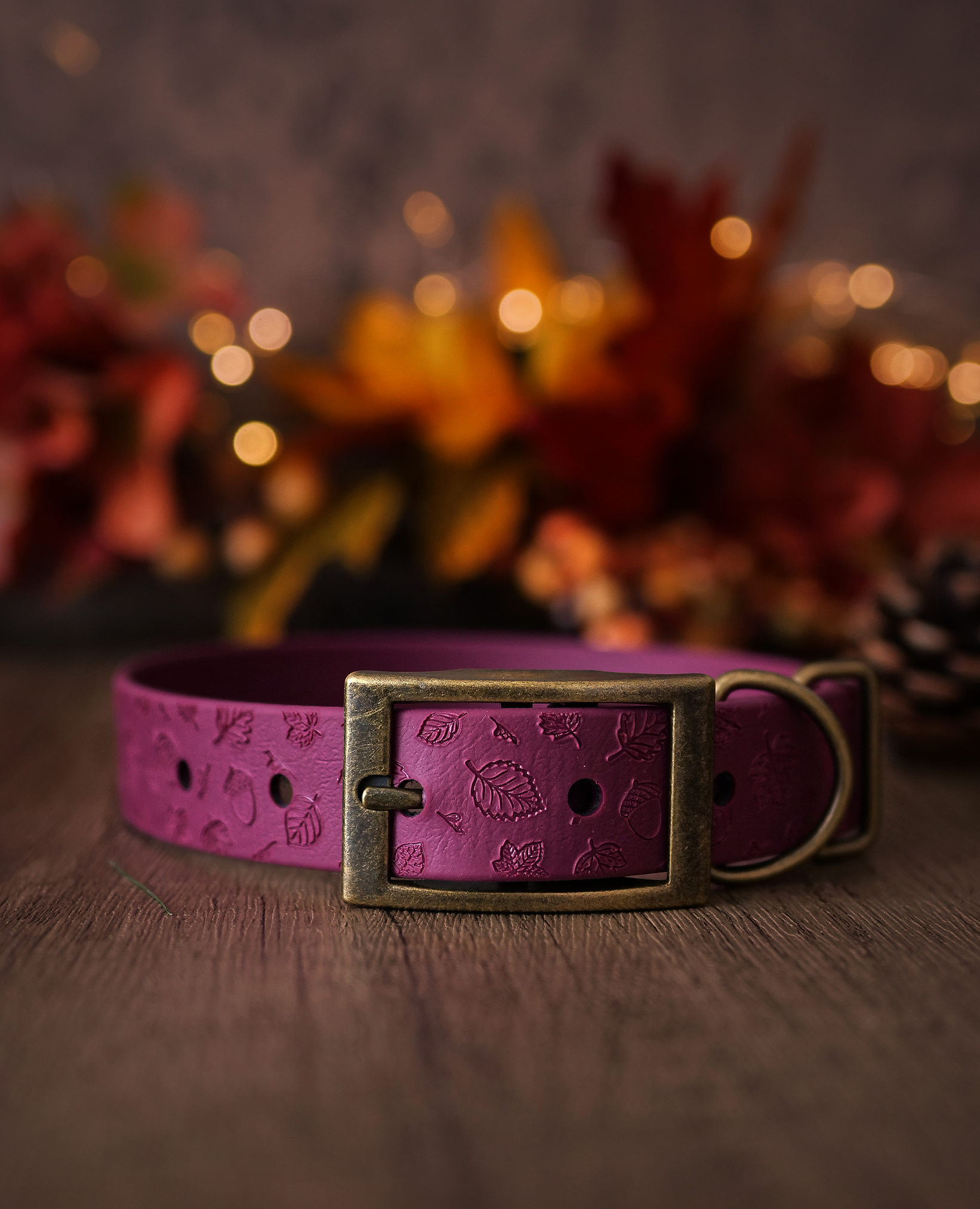Falling Leaves explorer dog collar with leaf embossing and antique gold buckle, inspired by woodland walks