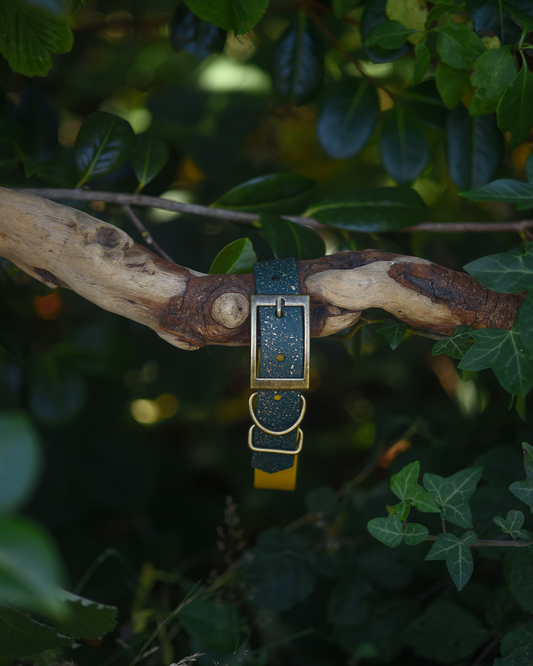 Woodland Verse - S&Sp Dog Collar