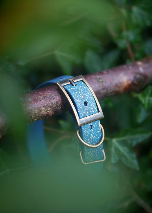 Golden Slate - SS Explorer Collar