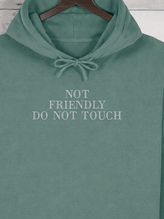 Not Friendly DO NOT TOUCH | Hoodie